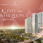 Giải mã lực đẩy cho thị trường Bất động sản Hải Phòng Quý 1/2026